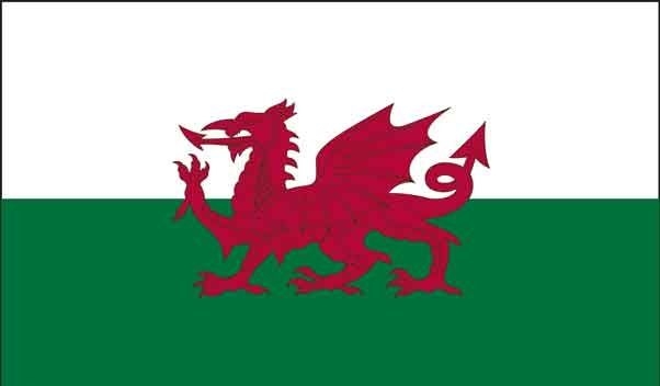 3\' x 5\' Wales High Wind, US Made Flag