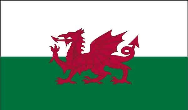 4\' x 6\' Wales High Wind, US Made Flag
