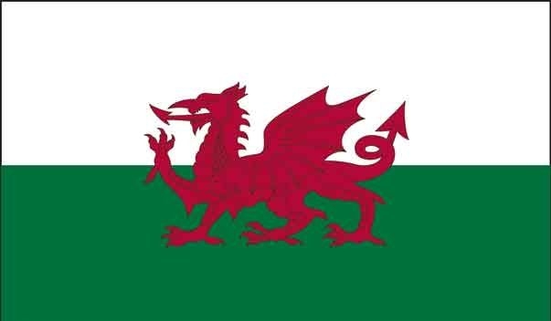 5\' x 8\' Wales High Wind, US Made Flag