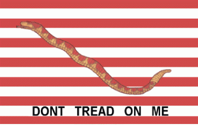 First Navy Jack Flag