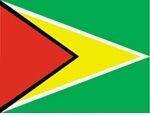 2\' x 3\' Guyana flag