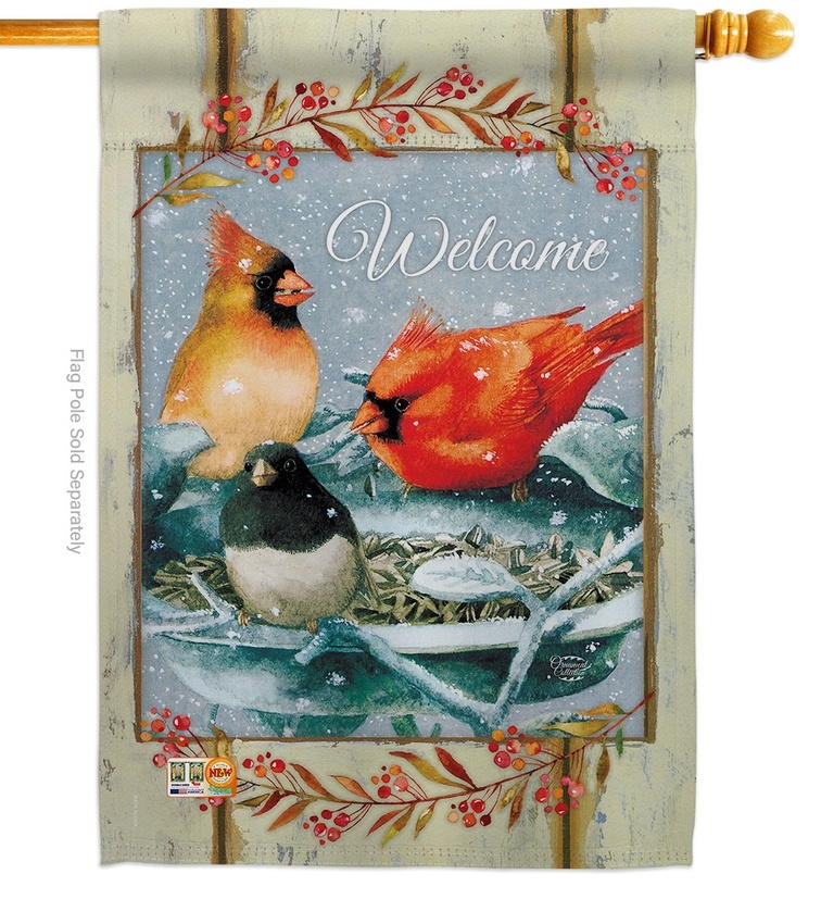 Winter Fun Birdies House Flag