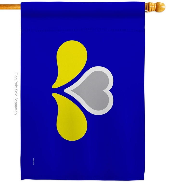 Provinces Of Belgium The Brussels-Capital Region House Flag