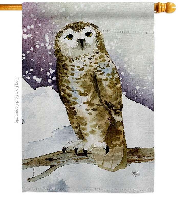 Winter Owl House Flag