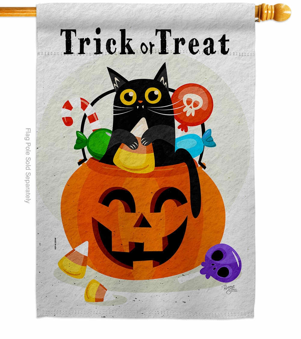 Silly Halloween Kitty House Flag