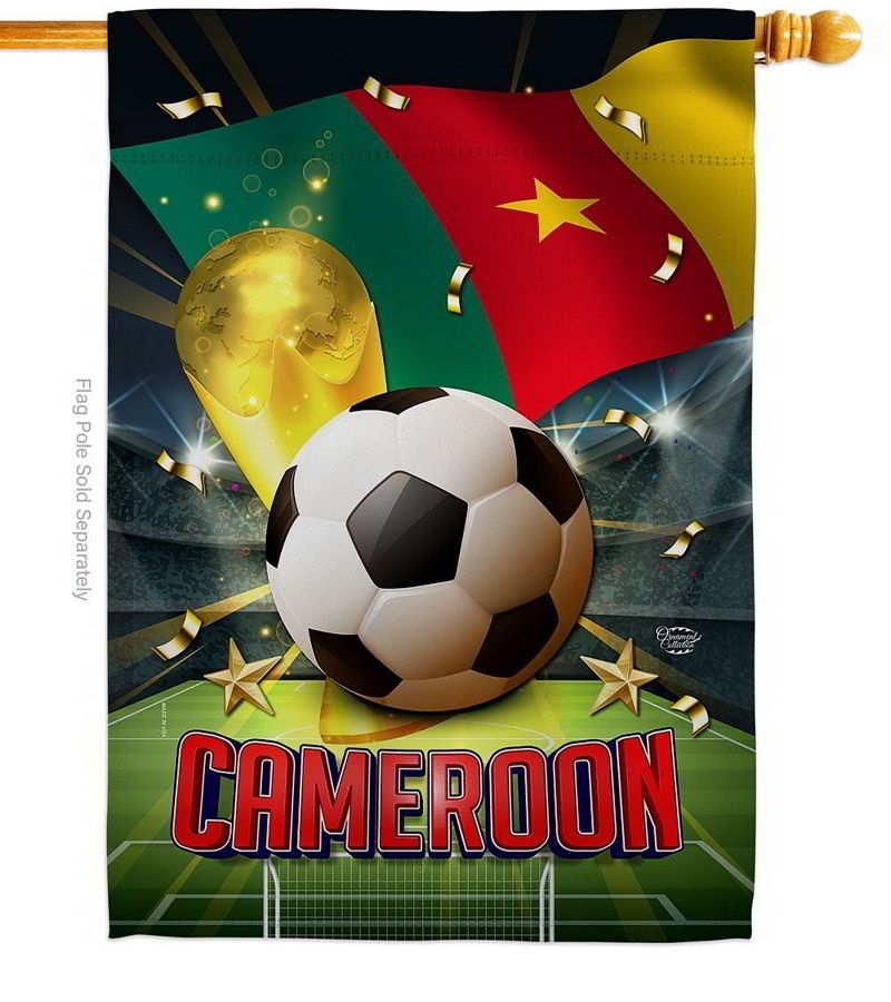 World Cup Cameroon House Flag