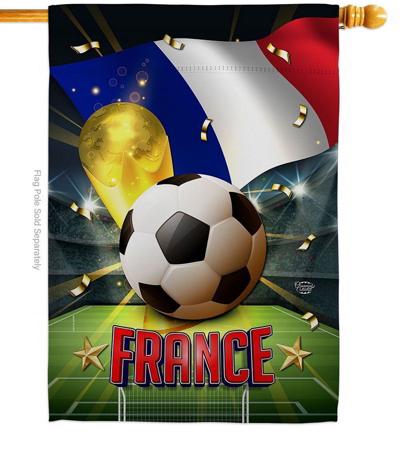 World Cup France House Flag