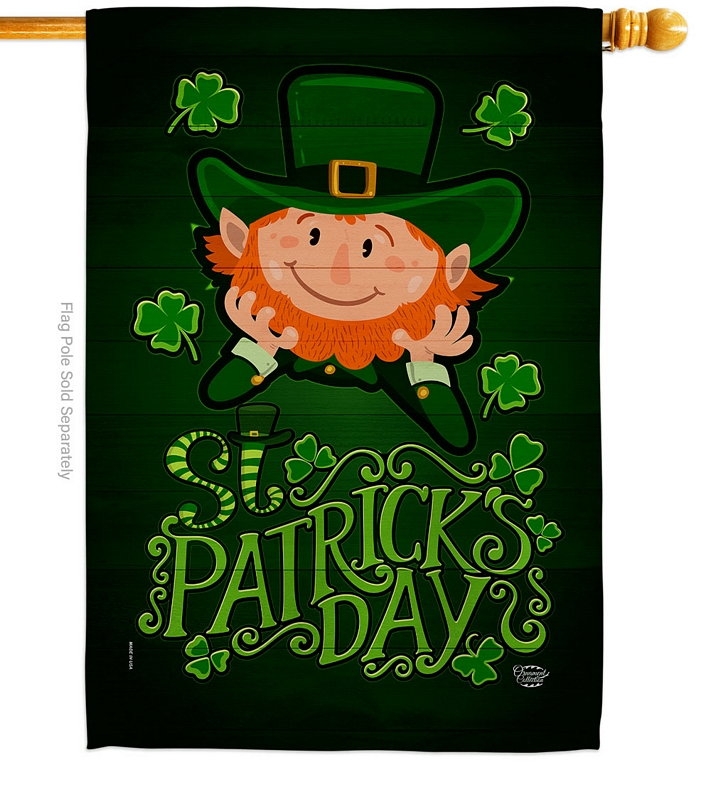 Lucky Leprechaun House Flag