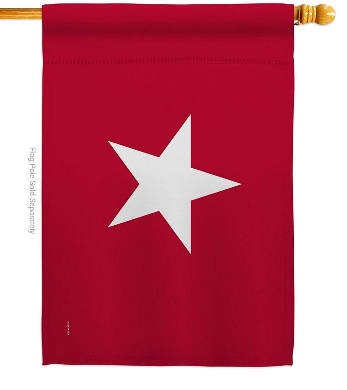 Jane Long House Flag