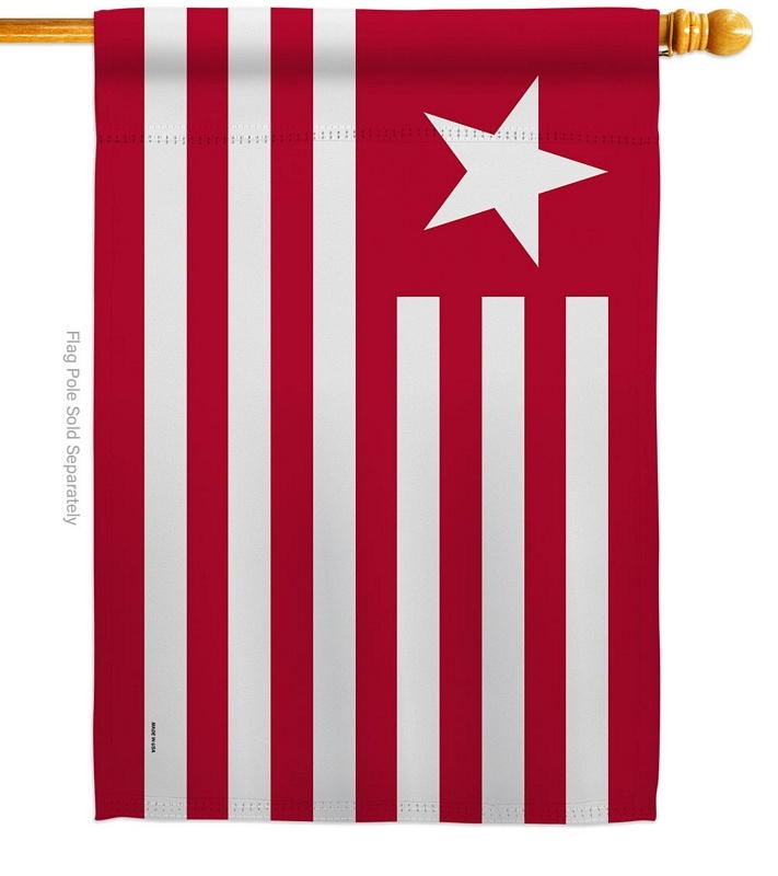 Colonel James Long's House Flag