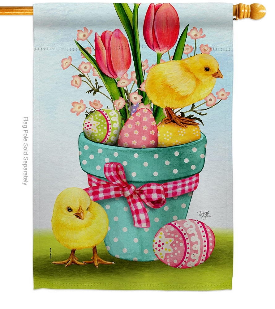 Chicks On Eggs House Flag