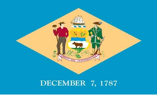 5\' x 8\' Delaware State High Wind, US Made Flag