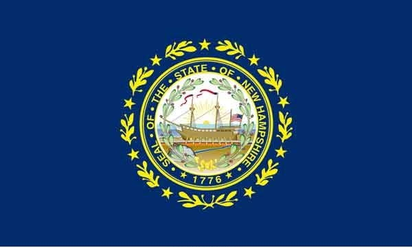 8\' x 12\' New Hampshire State High Wind, US Made Flag