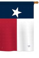 Texas State House Flag
