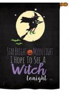 Star Bright House Flag