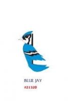 Blue Jay Zany Pal