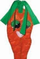 Carrot Zany Pal