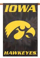 Iowa Hawkeyes Applique Banner Flag 44\