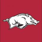 Arkansas Razorbacks Flags