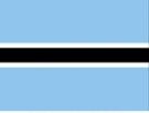2\' x 3\' Botswana flag