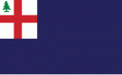 Bunker Hill Flag