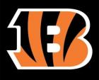 Cincinnati Bengals Flags