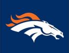 Denver Broncos Flags
