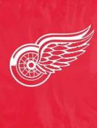 Detroit Wings Flags