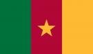 2\' x 3\' Cameroon High Wind, US Made Flag