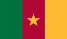 5\' x 8\' Cameroon High Wind, US Made Flag