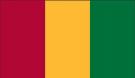 2\' x 3\' Guinea High Wind, US Made Flag