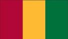 3\' x 5\' Guinea High Wind, US Made Flag