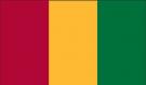 4\' x 6\' Guinea High Wind, US Made Flag