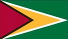 4\' x 6\' Guyana High Wind, US Made Flag