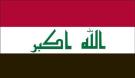 3\' x 5\' Iraq High Wind, US Made Flag