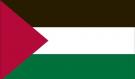 4\' x 6\' Palestine High Wind, US Made Flag