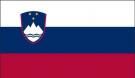 2\' x 3\' Slovenia High Wind, US Made Flag