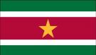 2\' x 3\' Suriname High Wind, US Made Flag