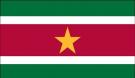 4\' x 6\' Suriname High Wind, US Made Flag