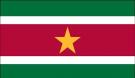 5\' x 8\' Suriname High Wind, US Made Flag