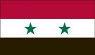 2\' x 3\' Syria High Wind, US Made Flag