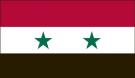 4\' x 6\' Syria High Wind, US Made Flag