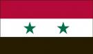 5\' x 8\' Syria High Wind, US Made Flag