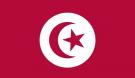 4\' x 6\' Tunisia High Wind, US Made Flag