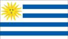 3\' x 5\' Uruguay High Wind, US Made Flag