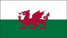 2\' x 3\' Wales High Wind, US Made Flag