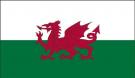 3\' x 5\' Wales High Wind, US Made Flag