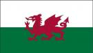 5\' x 8\' Wales High Wind, US Made Flag