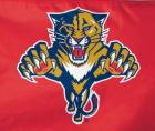 Florida Panthers Flags