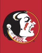 Florida State Seminoles Flags